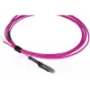 Cavo in fibra ottica BlueOptics SFP9231FU2MK MDC LC OM4 2 m magenta