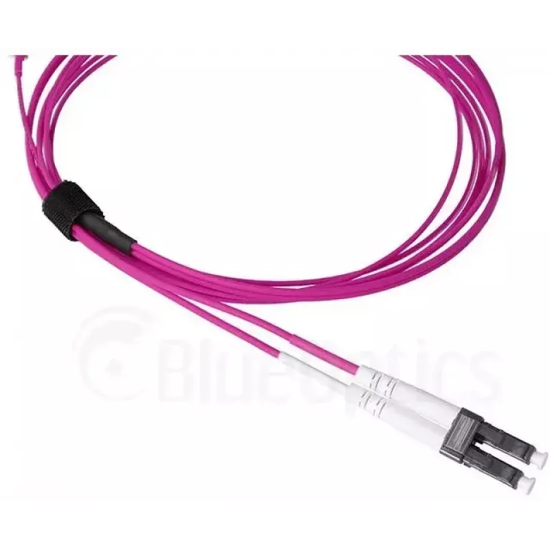 Cavo in fibra ottica BlueOptics SFP9331FU3MK SN LC OM4 3 m viola