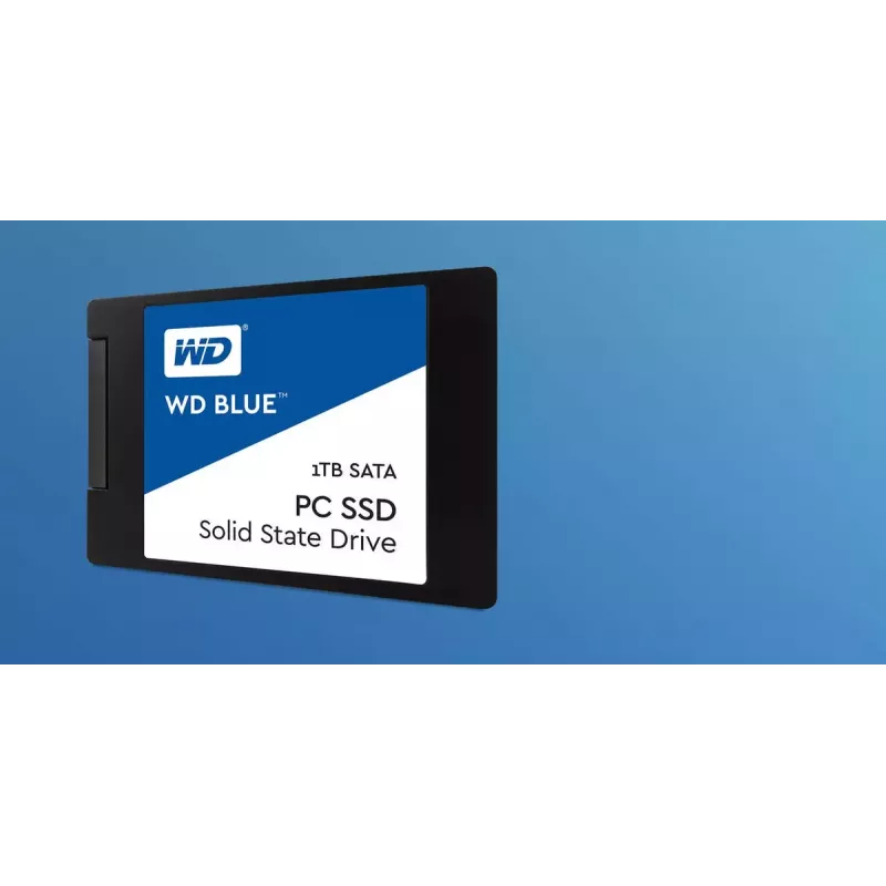 Unità SSD Western Digital 500 GB 2,5