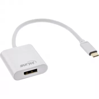 Adattatore display USB InLine 64102S USB-C su DisplayPort 4K 60Hz