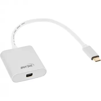 Adattatore display USB InLine 64105S connettore maschio USB-C su Mini DisplayPort 4K 60Hz argento