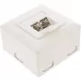 InLine 75602K Presa a muro, montaggio da parete o da incasso, 2x RJ45 verticale