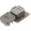 InLine 75602K Presa a muro, montaggio da parete o da incasso, 2x RJ45 verticale
