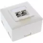 InLine presa da incasso Cat.6A a parete 2x connettore femmina RJ45 RAL9010 bianco