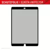 Displex TABLET PRIVACY SAFE filtro privacy rimovibile a 2 vie per iPad 10,2'' (7ª/8ª/9ª gen.)