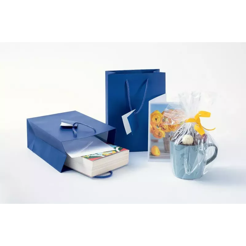 Sacchetto regalo Sigel GT504 Blu monocromatico 170x90x230 mm