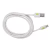 Techly ICOC MUSB20-CMAM20TW Cavo USB USB 2.0 2 m USB A USB C bianco