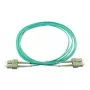 BlueOptics SFP3232EU1MK cavo in fibra ottica InfiniBand 1 m SC verde