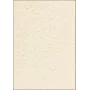 Fogli di carta artistica Sigel DP655 50 fogli beige 200 g/m²