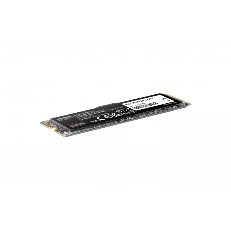 Unità SSD KLEVV 1 TB M.2 2280 PCIe Gen3 NVMe K01TBM2SP0-C7T