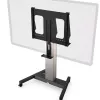 Kindermann supporto telecamera DisplayLift 250 mm larghezza 800 mm altezza