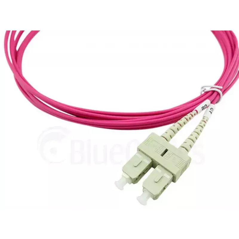 Cavo in fibra ottica InfiniBand BlueOptics SFP3232FU2MK 2 m 2x SC