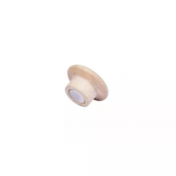 Magneti in legno Legamaster 25mm 5 pezzi