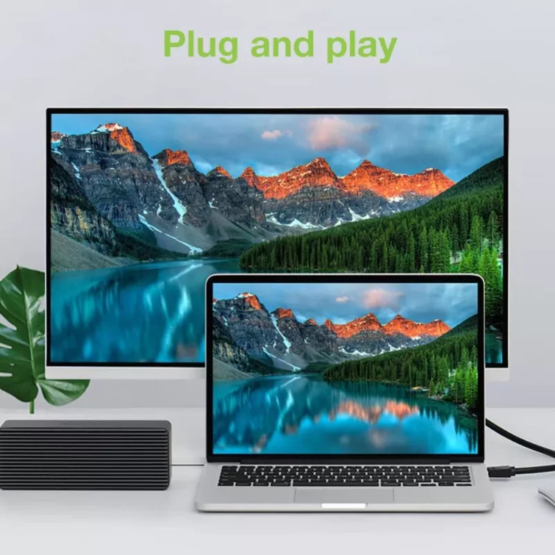 Cavo Techly DisplayPort-DVI per monitor 2 m ICOC DSP-C-020
