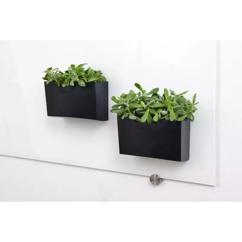 Supporto per pennarelli da lavagna Legamaster supporto accessori lavagna in vetro nero