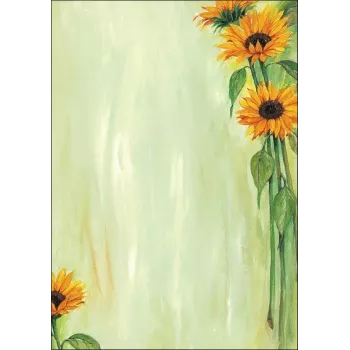 Fogli di carta artistica Sigel DP694 25 fogli