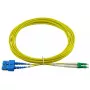 Cavo in fibra ottica InfiniBand BlueOptics SFP3132BU3MX 3 m LC SC