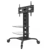 Supporto per display signage Techly ICA-TR8 177,8 cm (70 inch) nero