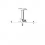 Supporto a soffitto Kindermann Premium MA30