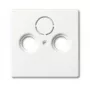 Placca di copertura, Busch-Jaeger 1743-884, bianco, design convenzionale, 63×63 mm