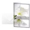 Biglietto di auguri/condoglianze Sigel DS006