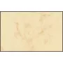 Biglietti da visita Sigel DP744 laser/inkjet beige 100 pz.