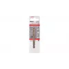 Punte per trapano Pilot Bosch HSS-Co 2608584677