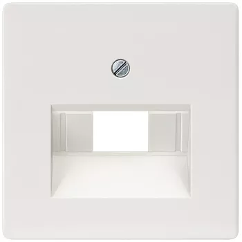Siemens 5TG2545 placca a parete/copriinterruttore