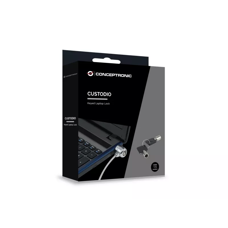 Conceptronic CNBSLOCK15 cavo di sicurezza argento 1,5 m