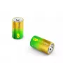 Batteria usa e getta GP Batteries 03013AUETA-B2 D alcalina