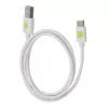 Techly ICOC MUSB20-CMAM10TW cavo USB USB 2.0 1 m USB A USB C bianco