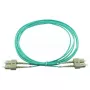 Cavo in fibra ottica InfiniBand BlueOptics SFP3232EU5MK 5 m SC