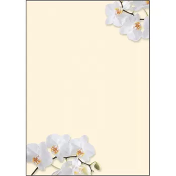 Carta patinata Sigel DP904 50 fogli