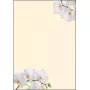 Carta patinata Sigel DP904 50 fogli
