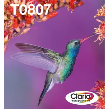 Multipack cartucce d'inchiostro Epson Hummingbird T0807 — 6 colori (nero, ciano, ciano chiaro, magenta chiaro, magenta, giallo)
