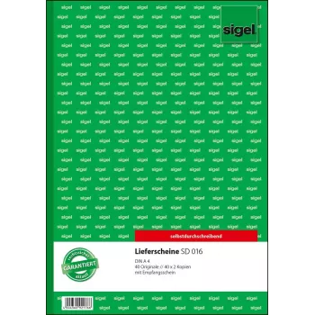 Quaderno Sigel SD016 A4 40 fogli verde bianco