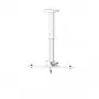 supporto a soffitto Kindermann Premium MA 60