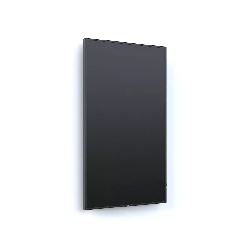Display digital signage NEC MultiSync P495 124,5 cm (49
