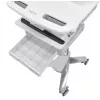 Carrello multimediale Ergotron StyleView alluminio grigio bianco