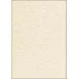 Carta patinata Sigel DP605 100 fogli beige 90 g/m²