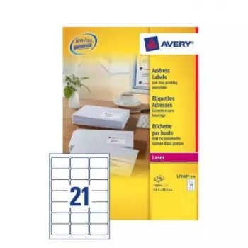 Etichette adesive Avery L7160-250