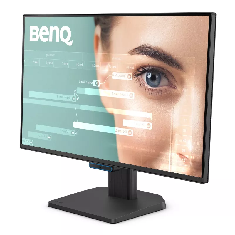 Monitor per computer BenQ GW2490C 60,5 cm (23,8