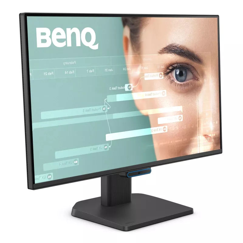 Monitor per computer BenQ GW2490C 60,5 cm (23,8
