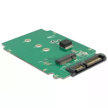 Scheda interfaccia interna DeLOCK 62521