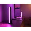 Philips Hue Play light bars kit di avvio – 2 Play light bars + Hue Bridge Pro, Bluetooth, nero, connettore Type-C