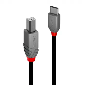 Cavo Lindy 2 m USB 2.0 Type-C a B, Anthra Line, 2 m, USB-C, USB-B, USB 2.0, 0,48 Gbit/s, nero