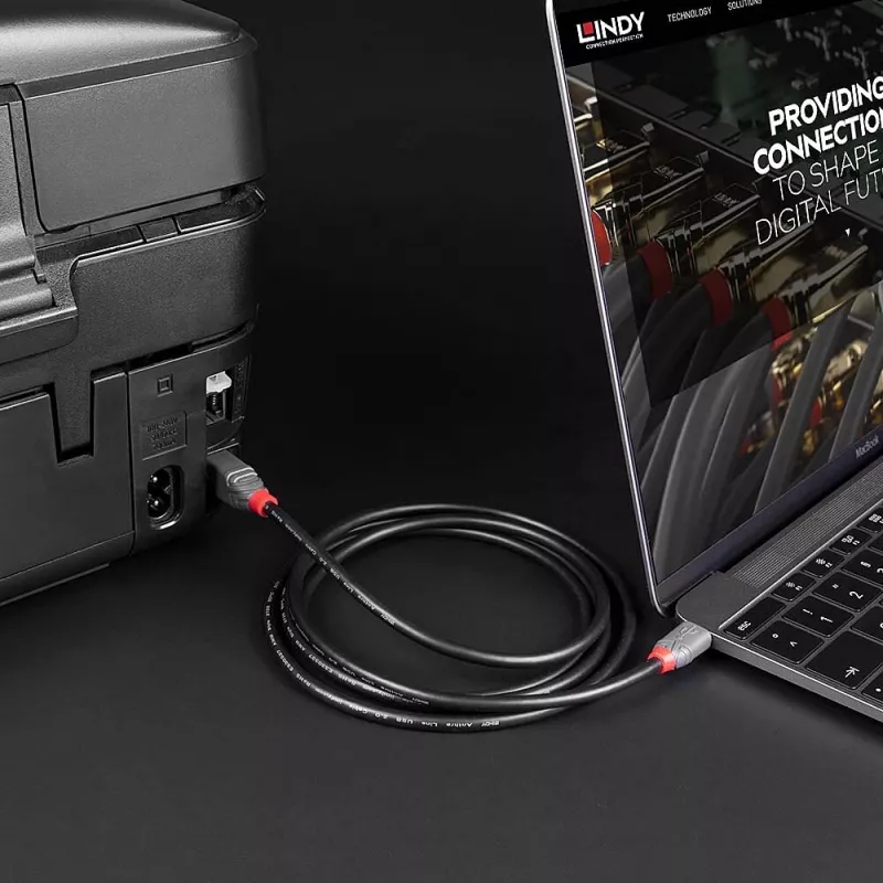 Cavo Lindy 2 m USB 2.0 Type-C a B, Anthra Line, 2 m, USB-C, USB-B, USB 2.0, 0,48 Gbit/s, nero