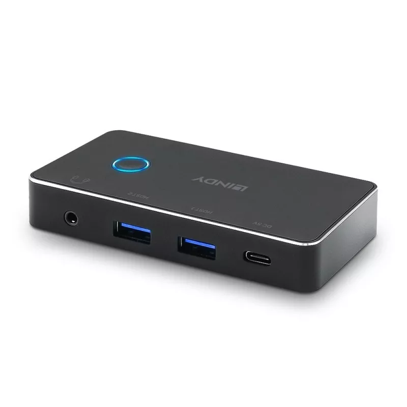 Lindy 43387 switch per computer