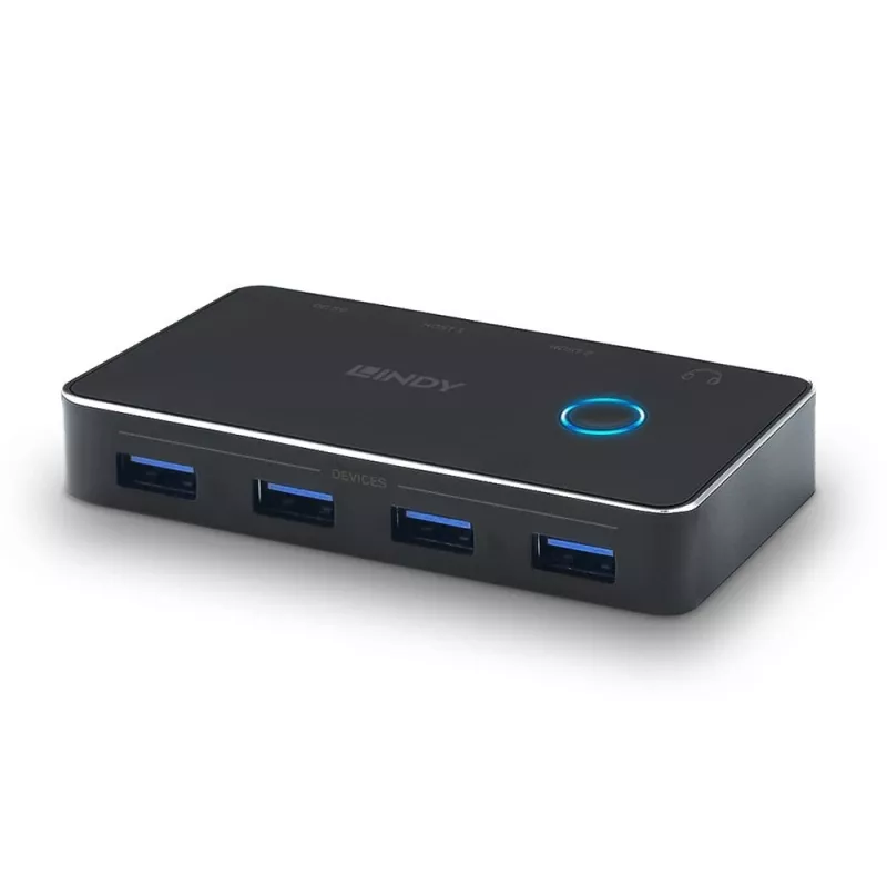 Lindy 43387 switch per computer