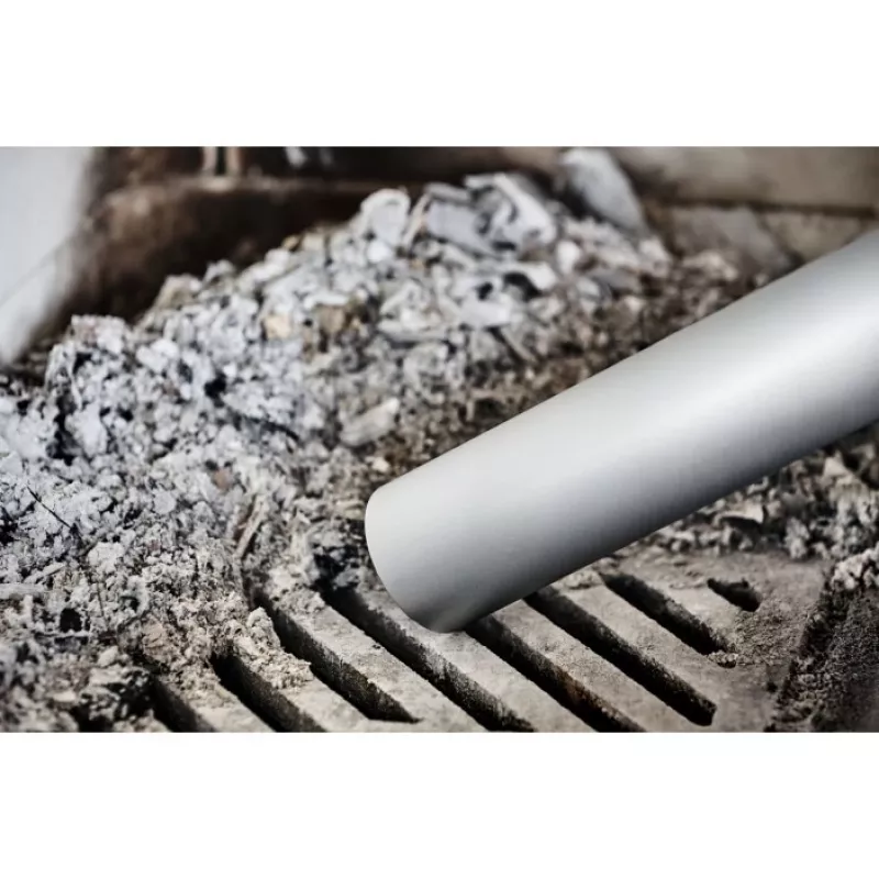 Electrolux ZE004 Bigdirt separatore di cenere universale